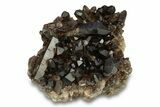 Dark Smoky Quartz Crystal Cluster - Brazil #302219-1